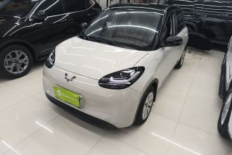 五菱汽车 五菱缤果 2024款 203km 轻享款