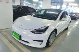 特斯拉 Model 3 2020款 改款 标准续航后驱升级版