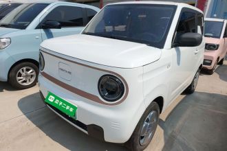 吉利银河 2024款 熊猫mini 200km 耐力熊