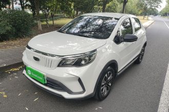 吉利几何 EX3 功夫牛 2021款 坚强牛牛