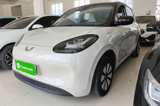 五菱汽车 五菱缤果 2023款 333km 灵犀互联+款