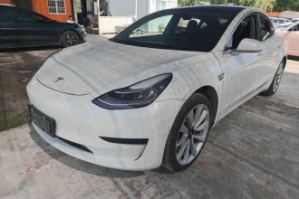 特斯拉 Model 3 2019款 标准续航后驱升级版