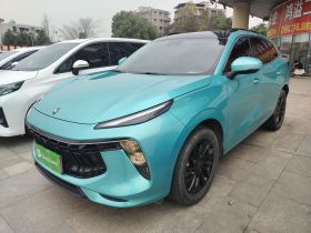 东风风行 风行T5 EVO 2021款 1.5TD DCT钻石版