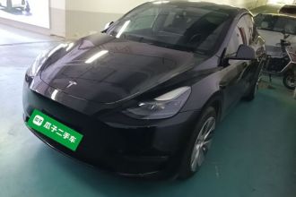 特斯拉 Model Y 2021款 标准续航后驱版