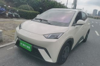 比亚迪 海鸥 2024款 荣耀版 305km 活力版