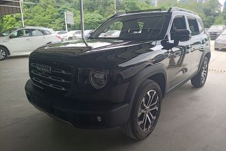 哈弗大狗 2021款 1.5T DCT两驱边牧版