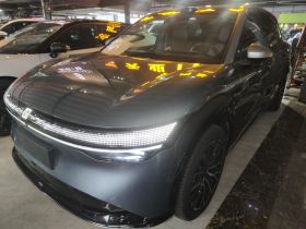 极氪7X 2025款 100kWh 长续航四驱智驾版