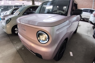 吉利银河 2023款 熊猫mini 200km 耐力熊
