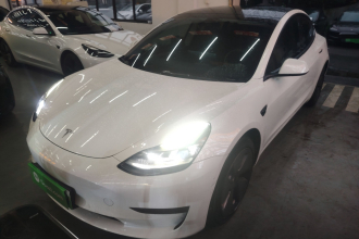 特斯拉 Model 3 2022款 后轮驱动版