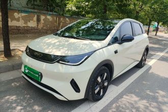 比亚迪 海豚 2025款 智驾版 410km 时尚版
