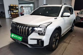 广汽传祺 传祺GS8 2020款 GS8S 390T 两驱豪华智联版