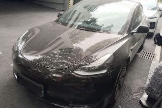 特斯拉 Model 3 2022款 后轮驱动版
