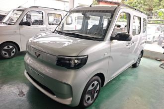五菱汽车 五菱之光新能源 2025款 305km 进取型