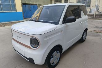 吉利银河 2024款 熊猫mini 200km 耐力熊
