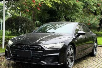 奥迪A7L 2024款 45 TFSI quattro 黑武士版