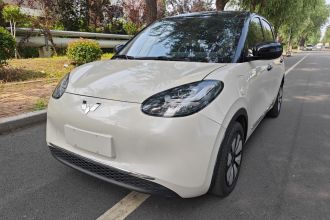五菱汽车 五菱缤果 2023款 410km 灵犀尊享款