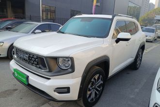 哈弗大狗 PLUS 2023款 2.0T 两驱潮野版