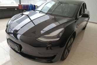 特斯拉 Model 3 2020款 标准续航后驱升级版