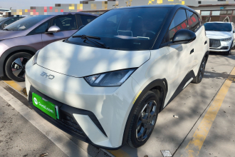 比亚迪 海鸥 2024款 荣耀版 305km 自由版