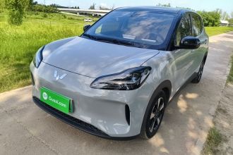 五菱汽车 五菱缤果PLUS 2024款 510km 旗舰版 四座版