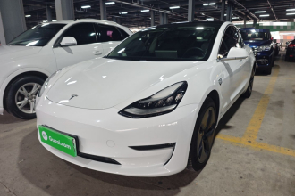 特斯拉 Model 3 2020款 改款 长续航后轮驱动版