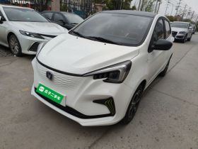 长安 奔奔E-Star 2022款 清心版 多彩款 磷酸铁锂