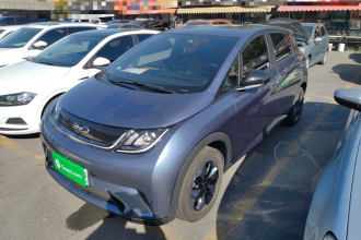 比亚迪 海豚 2025款 420km 自由版