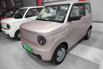 吉利银河 2024款 熊猫mini 200km 耐力熊