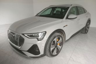 奥迪e-tron(进口) 2021款 Sportback 55 quattro 臻选型