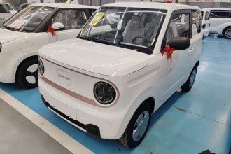 吉利银河 2024款 熊猫mini 200km 耐力熊