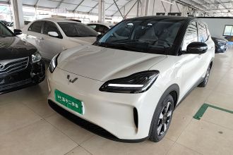 五菱汽车 五菱缤果PLUS 2024款 330km 五座版