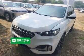 魏牌 VV6 2021款 2.0T 两驱智享+