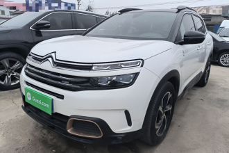雪铁龙 天逸 C5 AIRCROSS 2020款 360THP ORIGINS百年臻享版