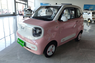 奔腾小马 2024款 170km 元气马