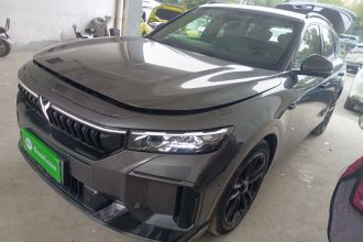 岚图汽车 岚图FREE 2025款 318 318km 后驱环游版