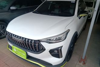 哈弗赤兔 2021款 激擎版 1.5T 黄金兔