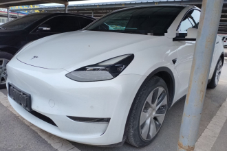特斯拉 Model Y 2021款 标准续航后驱版