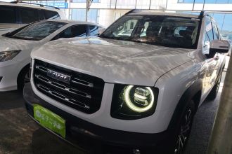 哈弗大狗 2021款 1.5T DCT两驱边牧版