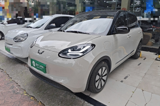 五菱汽车 五菱缤果 2023款 333km 悦享+款