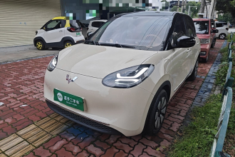 五菱汽车 五菱缤果 2025款 333km 悦享款