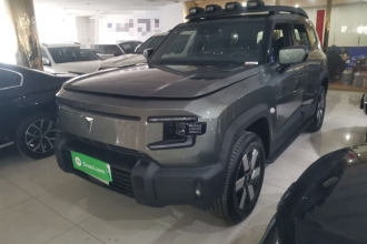 深蓝汽车 深蓝G318 2024款 四驱空悬版