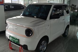 吉利银河 2024款 熊猫mini 200km 耐力熊