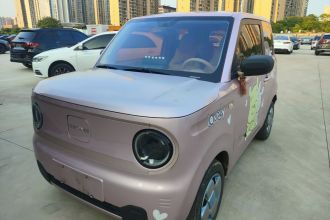 吉利银河 2023款 熊猫mini 200km 耐力熊