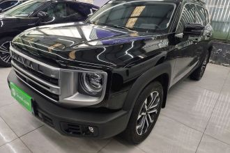 哈弗大狗 2024款 1.5T DCT边牧版