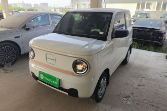 吉利银河 2024款 熊猫mini 200km 耐力熊
