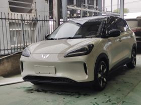 五菱汽车 五菱缤果PLUS 2024款 330km 五座版