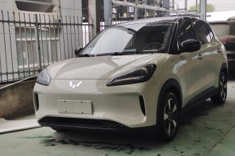 五菱汽车 五菱缤果PLUS 2024款 330km 五座版