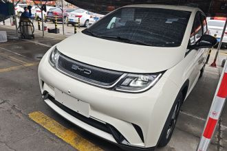 比亚迪 海豚 2023款 420km 自由版