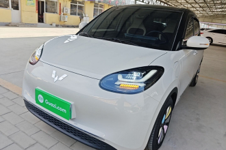 五菱汽车 五菱缤果 2023款 333km 悦享款