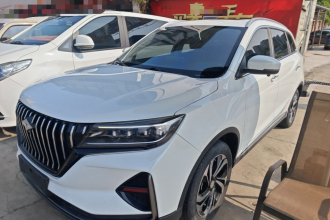 北汽瑞翔X5 2021款 1.5T 自动豪华型 7座